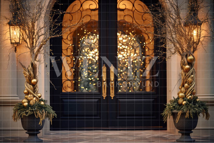 Fundo Fotográfico em Tecido Porta Luxuosa / Backdrop 3848