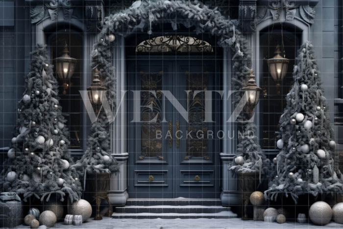 Fundo Fotográfico em Tecido Porta Azul / Backdrop 4121