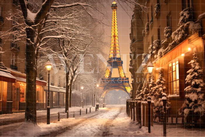Fundo Fotográfico em Tecido Inverno em Paris / Backdrop 4403