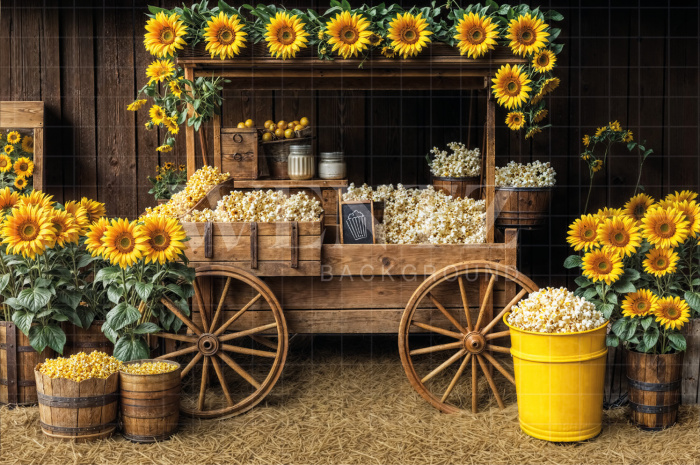 Fundo Fotográfico em Tecido Festa Junina Carrinho de Pipoca / Backdrop 6958