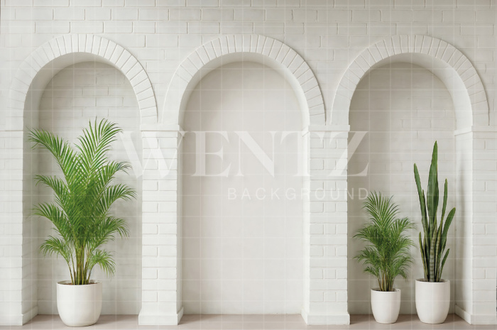 Fundo Fotográfico em Tecido Arcos / Backdrop 7506