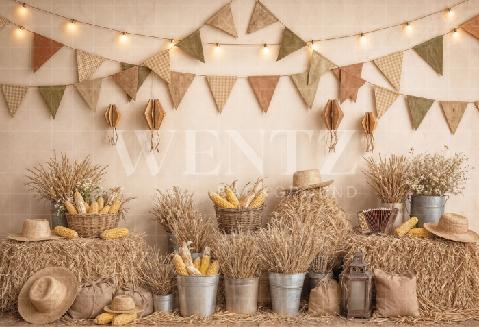 Fundo Fotográfico em Tecido Cenário Festa Junina / Backdrop 8264