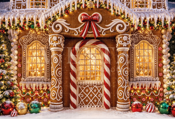 Fundo Fotográfico em Tecido Casinha de Natal / Backdrop 8523