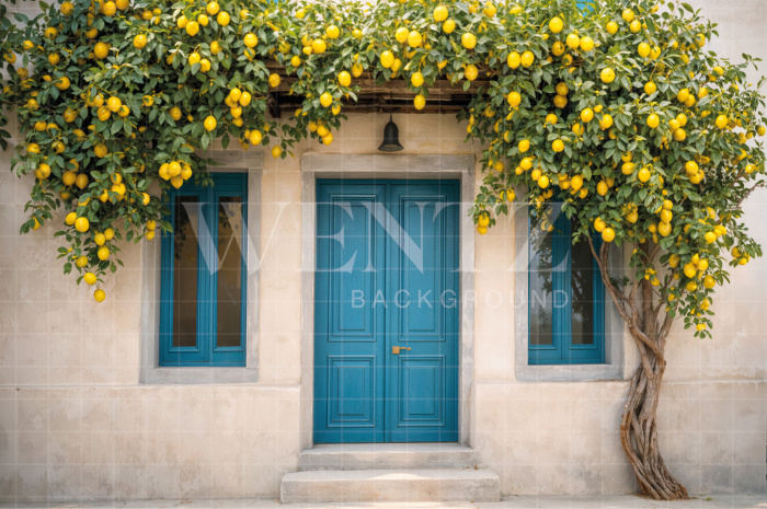 Fundo Fotográfico em Tecido Dia das Mães Casa Grega / Backdrop 8269