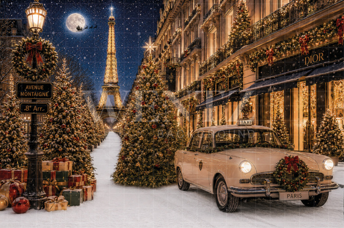 Fundo Fotográfico em Tecido Paris Natal / Backdrop 8894