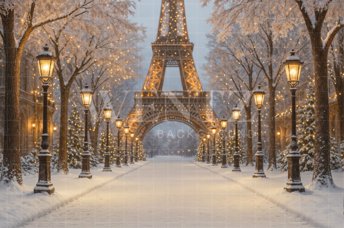 Fundo Fotográfico em Tecido Inverno em Paris / Backdrop 7564