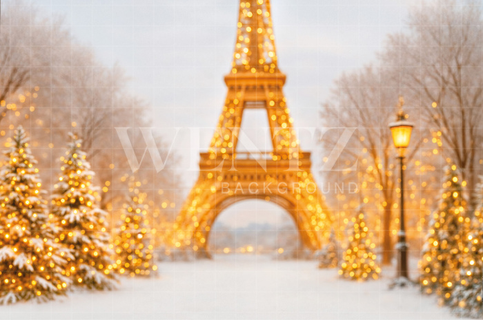 Fundo Fotográfico em Tecido Inverno em Paris / Backdrop 7574