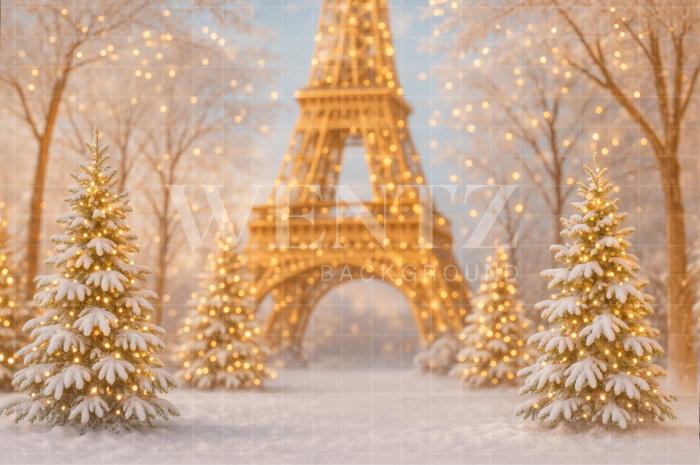 Fundo Fotográfico em Tecido Inverno em Paris / Backdrop 7582
