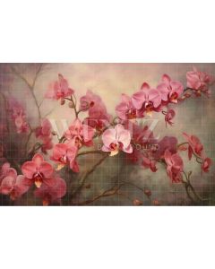 Fundo Fotográfico em Tecido Orquídeas Rosa / Backdrop 3564