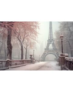 Fundo Fotográfico em Tecido Inverno em Paris / Backdrop 4383