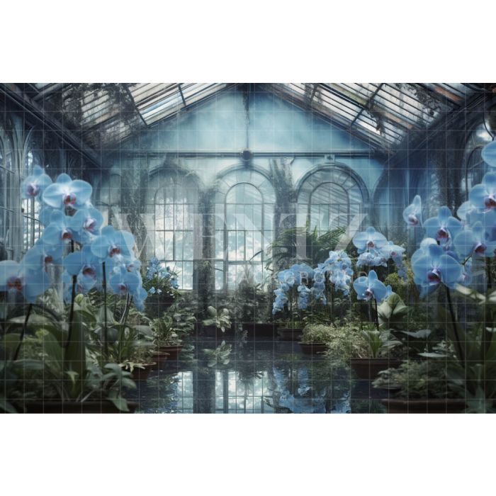 Fundo Fotográfico em Tecido Estufa de Orquídeas Azuis / Backdrop 3630