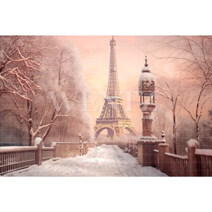 Fundo Fotográfico em Tecido Inverno em Paris / Backdrop 4384
