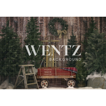 Fundo Fotográfico em Tecido Natal / Backdrop 1340