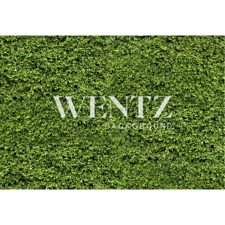 Fundo Fotográfico em Tecido Páscoa / Backdrop 1367