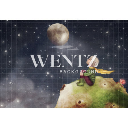 Fundo Fotográfico em Tecido Pequeno Príncipe / Backdrop 1482