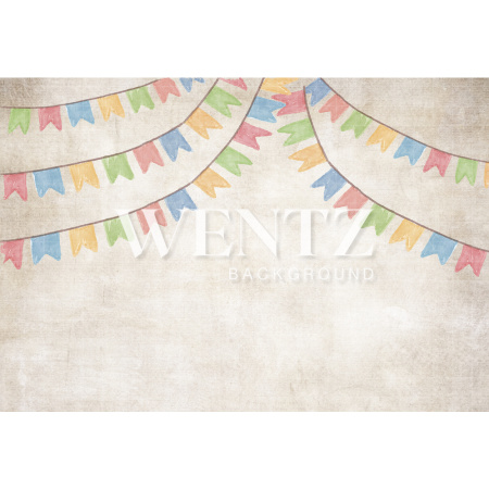 Fundo Fotográfico em Tecido Festa Junina / Backdrop 1537