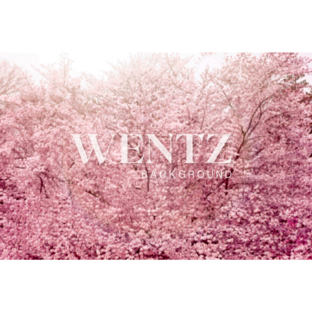 Fundo Fotográfico em Tecido Arvore de Cerejeira / Backdrop 1756