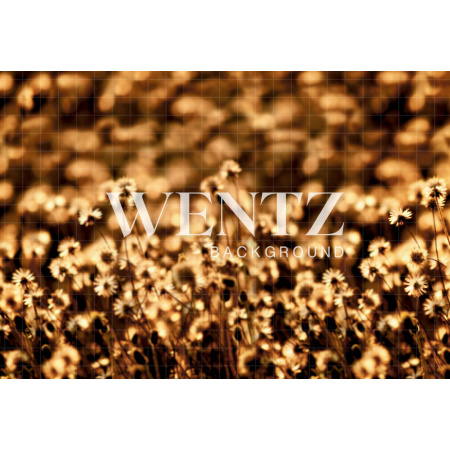 Fundo Fotográfico em Tecido Flores no Pôr-do-Sol / Backdrop 1757