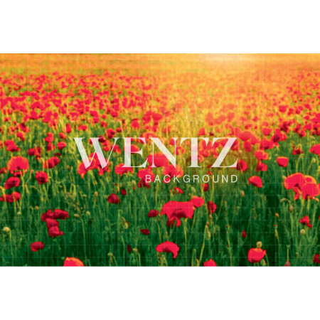 Fundo Fotográfico em Tecido Campo de Papoulas / Backdrop 1758