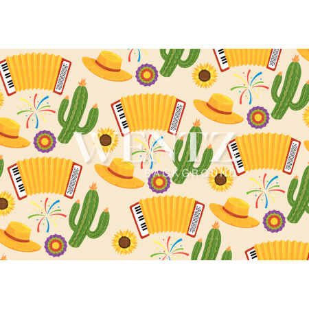 Fundo Fotográfico em Tecido Festa Junina / Backdrop 1809