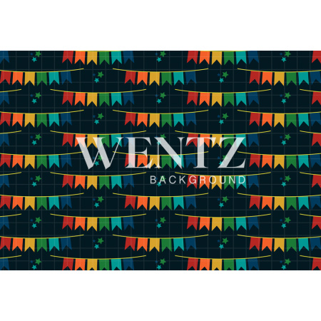 Fundo Fotográfico em Tecido Festa Junina Bandeiras / Backdrop 1810