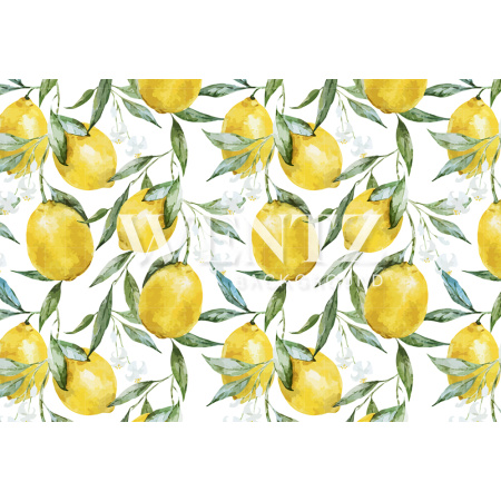Fundo Fotográfico em Tecido Verão Limão / Backdrop 1997