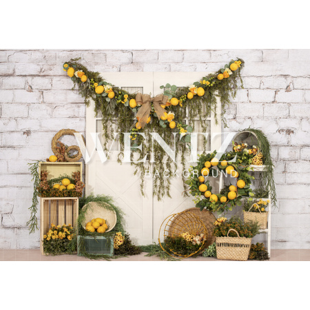 Fundo Fotográfico em Tecido Limão Siciliano / Backdrop 2225