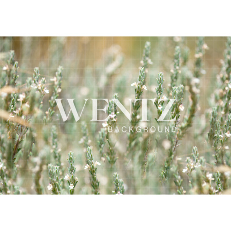 Fundo Fotográfico em Tecido Floral / Backdrop 2403