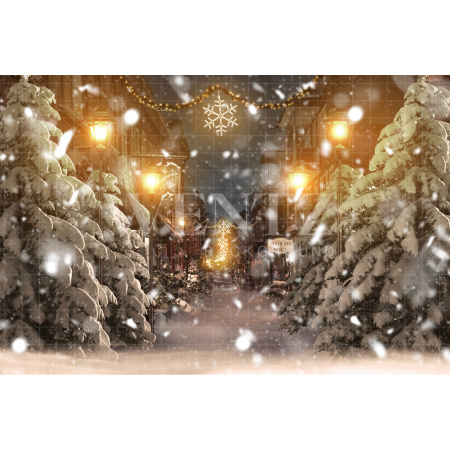 Fundo Fotográfico em Tecido Rua de Natal com Pinheiros / Backdrop 2531