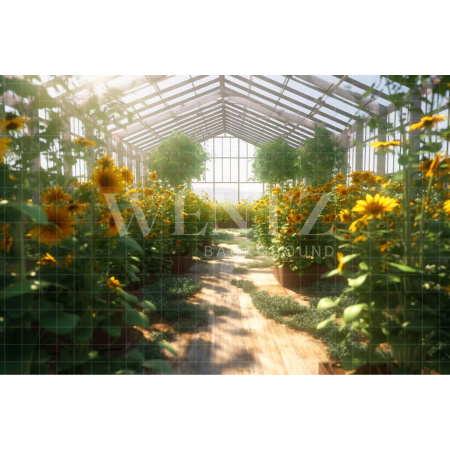 Fundo Fotográfico em Tecido Estufa de Girassóis / Backdrop 3640