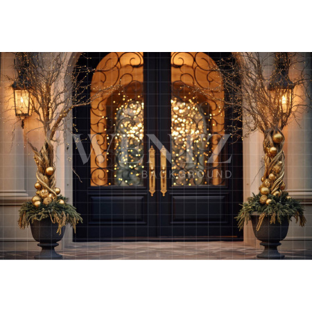 Fundo Fotográfico em Tecido Porta Luxuosa / Backdrop 3848