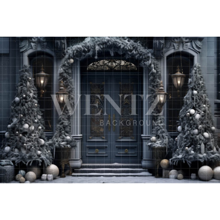 Fundo Fotográfico em Tecido Porta Azul / Backdrop 4121