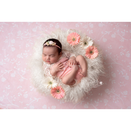 Fundo Fotográfico em Tecido Floral Rosa / Backdrop 1644