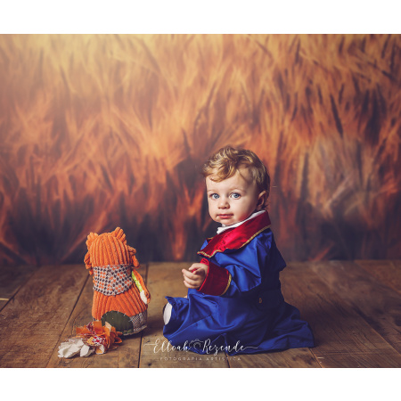 Fundo Fotográfico em Tecido Campo de Trigo / Backdrop 1759