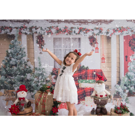 Fundo Fotográfico em Tecido Casa de Natal / Backdrop 748