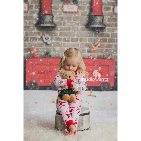 Fundo Fotográfico em Tecido Natal / Backdrop 1247