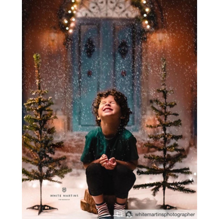 Fundo Fotografico em Tecido Porta Natal / Backdrop 1593