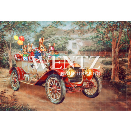 Fundo Fotográfico em Tecido Carro com Coelhos / Backdrop CW100