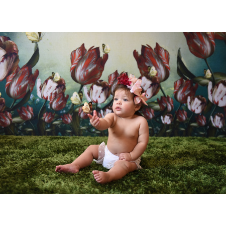 Fundo Fotográfico em Tecido Flores Vermelhas e Borboletas / Backdrop 2102