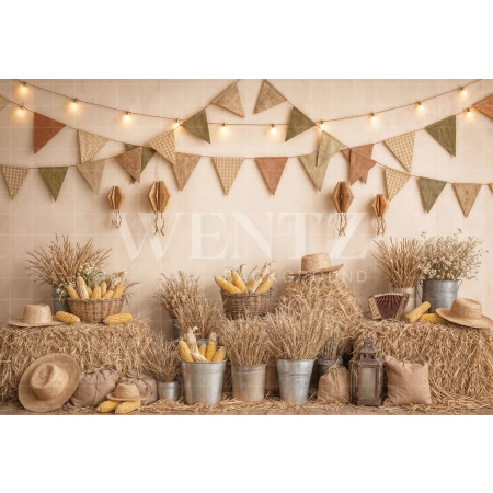 Fundo Fotográfico em Tecido Cenário Festa Junina / Backdrop 8264