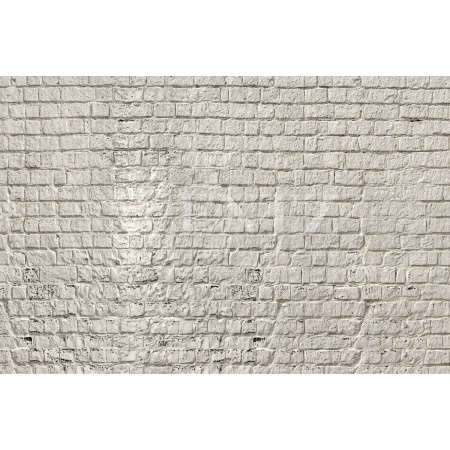 Fundo Fotográfico em Tecido Dia das Mães Parede de Tijolos / Backdrop 8306