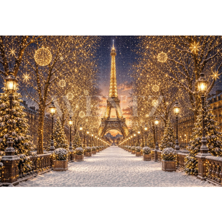 Fundo Fotográfico em Tecido Paris Natal / Backdrop 8491