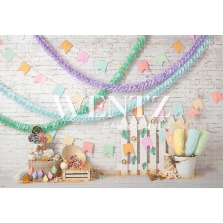 Fundo Fotográfico em Tecido Festa Junina / Backdrop 2234