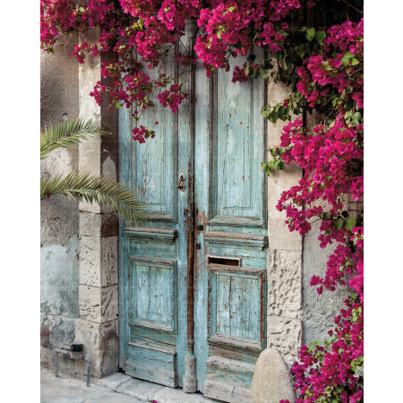 Fundo Fotográfico em Tecido Porta Florida / Backdrop 1259