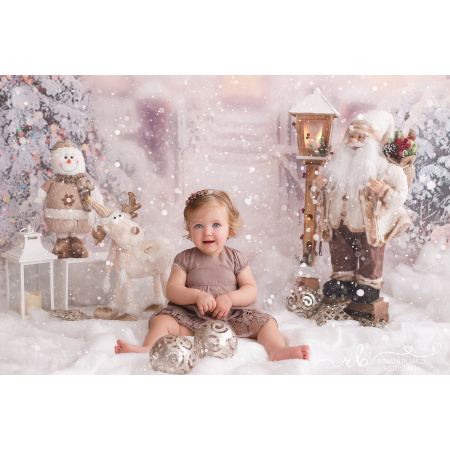 Fundo Fotográfico em Tecido Natal / Backdrop 1895