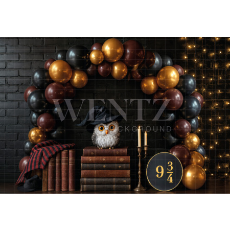 Fundo Fotográfico em Tecido Cenário Arco de Balões / Backdrop 7087